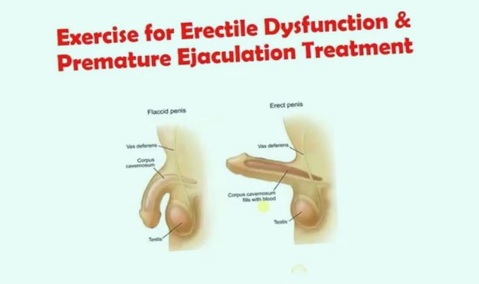 ed and premature ejaculation